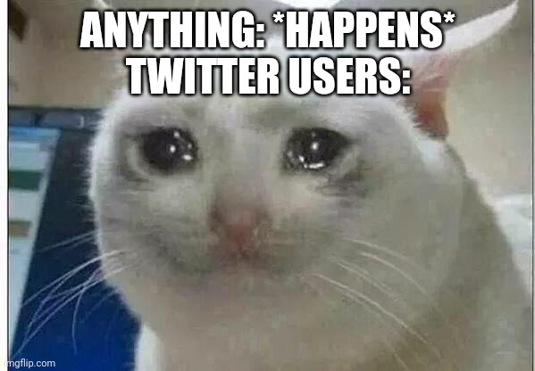 crying cat | ANYTHING: *HAPPENS*
TWITTER USERS: | image tagged in crying cat,twitter | made w/ Imgflip meme maker