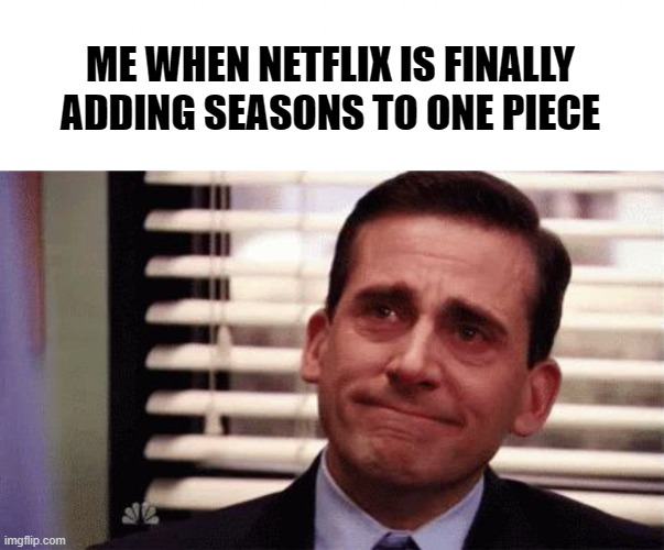 Netflix Cool?? | ME WHEN NETFLIX IS FINALLY ADDING SEASONS TO ONE PIECE | image tagged in happy cry,one piece,netflix,fyp,cool,funny | made w/ Imgflip meme maker