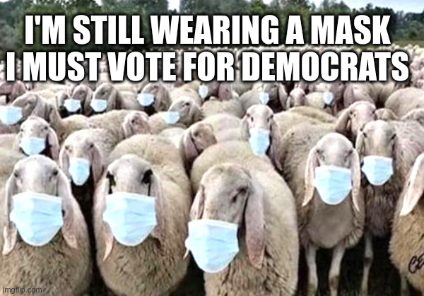 I'M STILL WEARING A MASK
I MUST VOTE FOR DEMOCRATS | made w/ Imgflip meme maker