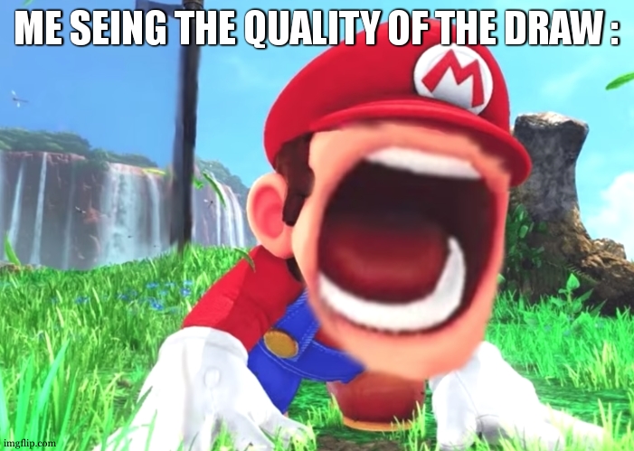 Mario screaming | ME SEING THE QUALITY OF THE DRAW : | image tagged in mario screaming | made w/ Imgflip meme maker