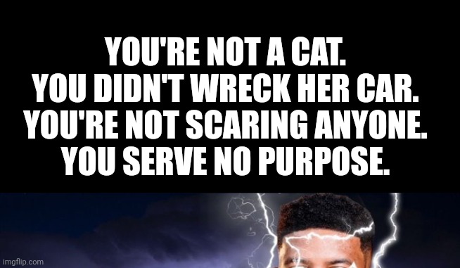 YOU'RE NOT A CAT.
YOU DIDN'T WRECK HER CAR.
YOU'RE NOT SCARING ANYONE.
YOU SERVE NO PURPOSE. | made w/ Imgflip meme maker