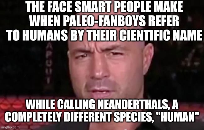 Paleo fanboys and neanderthals | THE FACE SMART PEOPLE MAKE WHEN PALEO-FANBOYS REFER TO HUMANS BY THEIR CIENTIFIC NAME; WHILE CALLING NEANDERTHALS, A COMPLETELY DIFFERENT SPECIES, "HUMAN" | image tagged in that face you make when someone says they don't like joe rogan,cringe,fanboys,caveman | made w/ Imgflip meme maker
