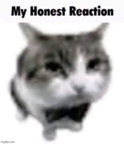 My honest reaction | image tagged in my honest reaction | made w/ Imgflip meme maker