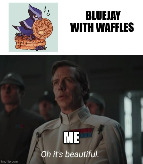Bluejay with waffles | BLUEJAY WITH WAFFLES; ME | image tagged in oh it's beautiful | made w/ Imgflip meme maker