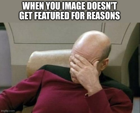 i am confiremd as stupid | WHEN YOU IMAGE DOESN'T GET FEATURED FOR REASONS | image tagged in memes,captain picard facepalm | made w/ Imgflip meme maker