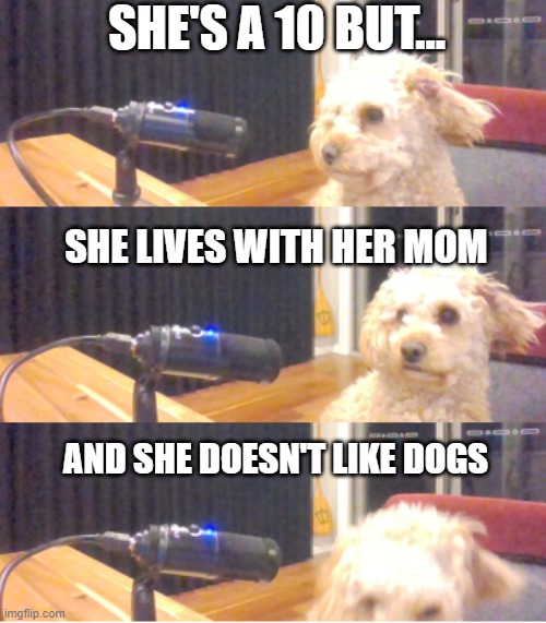 Nah, the Dogs Ain't having that | SHE'S A 10 BUT... SHE LIVES WITH HER MOM; AND SHE DOESN'T LIKE DOGS | image tagged in dogcast | made w/ Imgflip meme maker