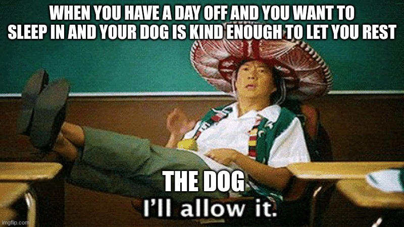 When your dog doesn't wake you on your day off | WHEN YOU HAVE A DAY OFF AND YOU WANT TO SLEEP IN AND YOUR DOG IS KIND ENOUGH TO LET YOU REST; THE DOG | image tagged in ill allow it | made w/ Imgflip meme maker