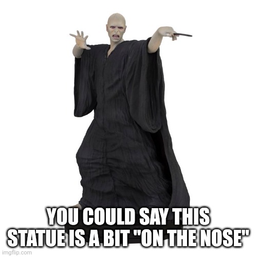 What nose | YOU COULD SAY THIS STATUE IS A BIT "ON THE NOSE" | image tagged in harry potter,statue | made w/ Imgflip meme maker