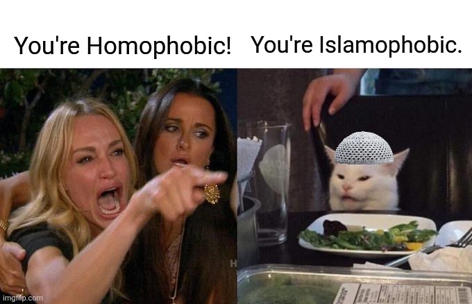 Homophobic | You're Islamophobic. You're Homophobic! | image tagged in memes,woman yelling at cat | made w/ Imgflip meme maker