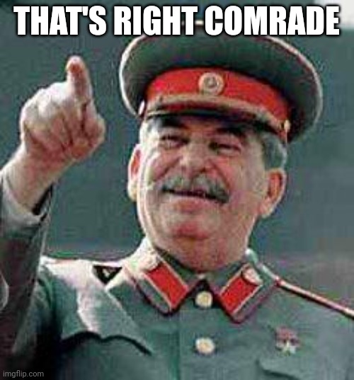 Stalin says | THAT'S RIGHT COMRADE | image tagged in stalin says | made w/ Imgflip meme maker