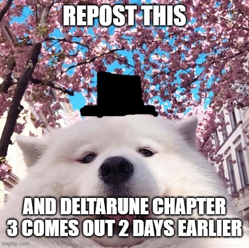 insert title | REPOST THIS; AND DELTARUNE CHAPTER 3 COMES OUT 2 DAYS EARLIER | image tagged in chonker,repost this,repost,toby fox,undertale,deltarune | made w/ Imgflip meme maker