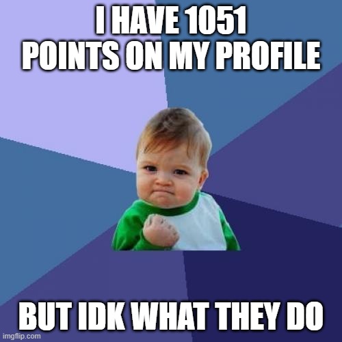 Like, what do you do with them? Flex on other users? Memes are memes. | I HAVE 1051 POINTS ON MY PROFILE; BUT IDK WHAT THEY DO | image tagged in memes,success kid | made w/ Imgflip meme maker