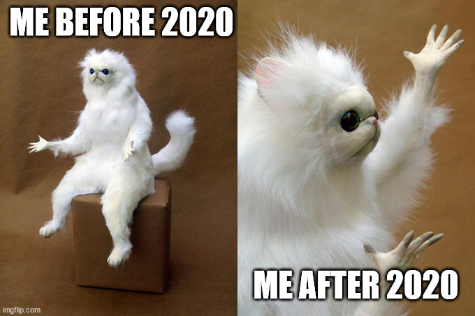 theres really no difference | ME BEFORE 2020; ME AFTER 2020 | image tagged in memes,persian cat room guardian | made w/ Imgflip meme maker