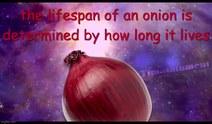 the lifespan of an onion is determined by how long it lives | image tagged in the lifespan of an onion is determined by how long it lives | made w/ Imgflip meme maker