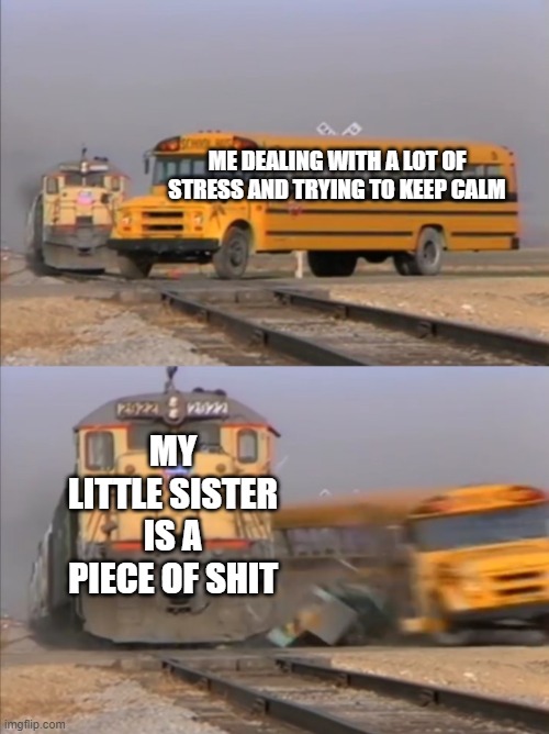 MY I KILL HER | ME DEALING WITH A LOT OF STRESS AND TRYING TO KEEP CALM; MY LITTLE SISTER IS A PIECE OF SHIT | image tagged in train crashes bus | made w/ Imgflip meme maker