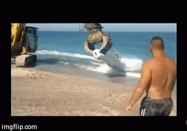 Round Round | image tagged in gifs,funny,win | made w/ Imgflip video-to-gif maker