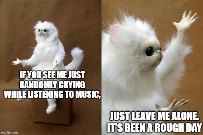 Persian Cat Room Guardian Meme | IF YOU SEE ME JUST RANDOMLY CRYING WHILE LISTENING TO MUSIC, JUST LEAVE ME ALONE. IT'S BEEN A ROUGH DAY | image tagged in memes,persian cat room guardian | made w/ Imgflip meme maker