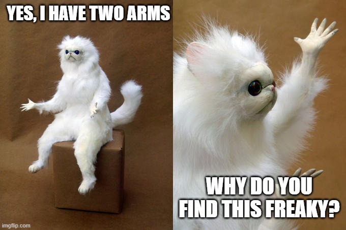 two arms | YES, I HAVE TWO ARMS; WHY DO YOU FIND THIS FREAKY? | image tagged in memes,persian cat room guardian | made w/ Imgflip meme maker