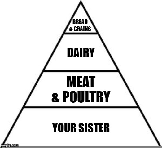 What? | BREAD & GRAINS; DAIRY; MEAT
& POULTRY; YOUR SISTER | image tagged in food pyramid,sister,funny memes,inappropriate,puppies and kittens | made w/ Imgflip meme maker