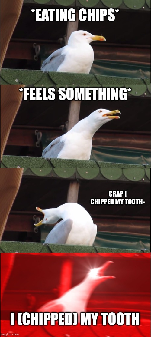 Inhaling Seagull | *EATING CHIPS*; *FEELS SOMETHING*; CRAP I CHIPPED MY TOOTH-; I (CHIPPED) MY TOOTH | image tagged in memes,inhaling seagull | made w/ Imgflip meme maker