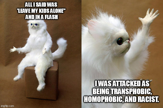 Pissed Parent | ALL I SAID WAS 
'LEAVE MY KIDS ALONE" 
AND IN A FLASH; I WAS ATTACKED AS BEING TRANSPHOBIC, HOMOPHOBIC, AND RACIST. | image tagged in memes,persian cat room guardian,transgender | made w/ Imgflip meme maker