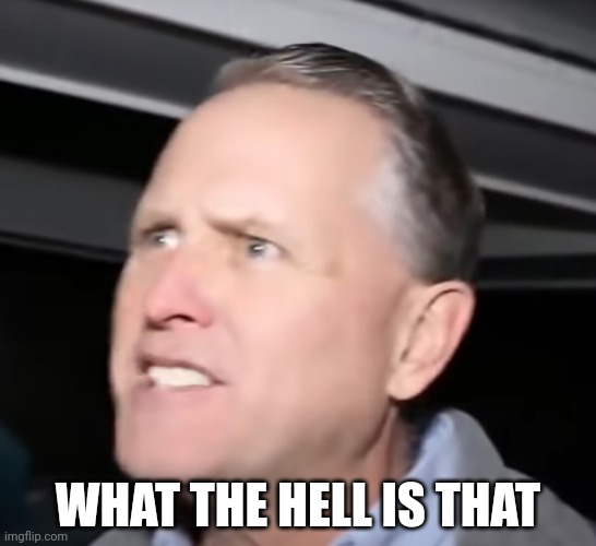 What the hell is even that | WHAT THE HELL IS THAT | image tagged in what the hell is even that | made w/ Imgflip meme maker