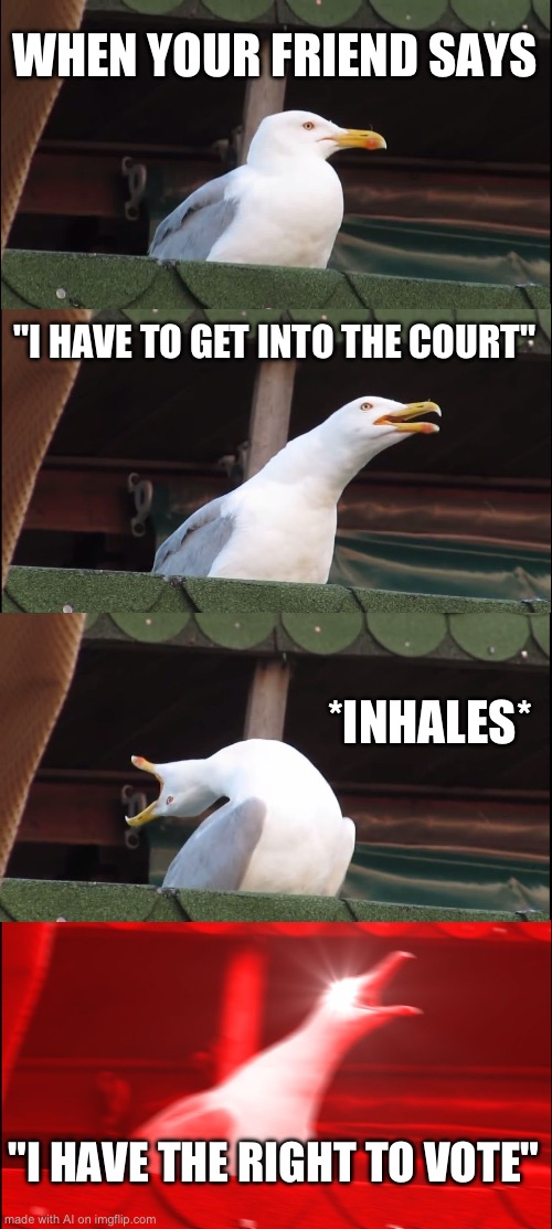 What | WHEN YOUR FRIEND SAYS; "I HAVE TO GET INTO THE COURT"; *INHALES*; "I HAVE THE RIGHT TO VOTE" | image tagged in memes,inhaling seagull,funny,ai meme | made w/ Imgflip meme maker