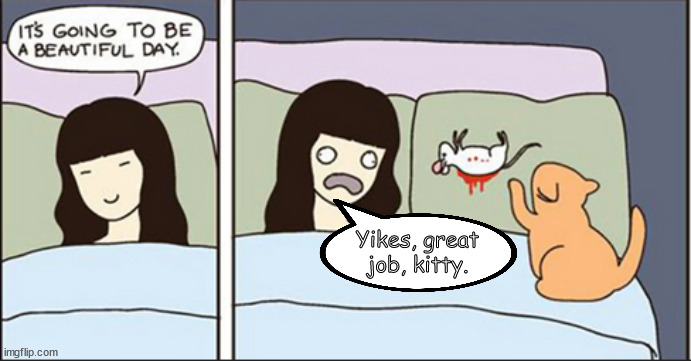 Working the graveyard shift | Yikes, great job, kitty. | image tagged in memes,cats,kittens,mice | made w/ Imgflip meme maker