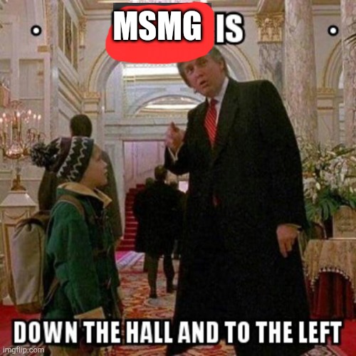 Fun Stream is Down the Hall to the Left | MSMG | image tagged in fun stream is down the hall to the left | made w/ Imgflip meme maker