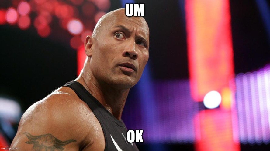 the rock eyebrow wtf face | UM OK | image tagged in the rock eyebrow wtf face | made w/ Imgflip meme maker