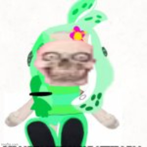 Low quality image of a mint houzuki plush | image tagged in low quality image of a mint houzuki plush | made w/ Imgflip meme maker