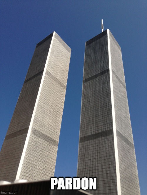 Twin Towers | PARDON | image tagged in twin towers | made w/ Imgflip meme maker