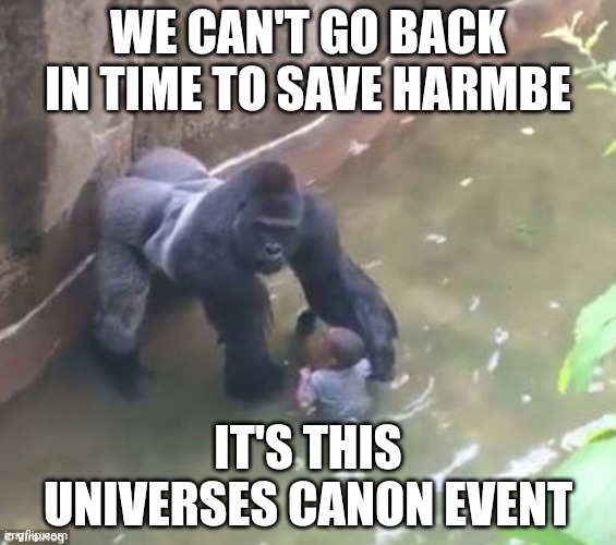 Harambe | WE CAN'T GO BACK IN TIME TO SAVE HARMBE; IT'S THIS UNIVERSES CANON EVENT | image tagged in harambe | made w/ Imgflip meme maker