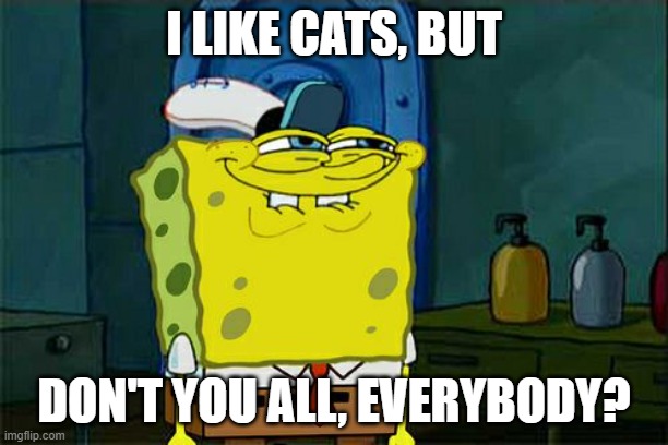 Do you like cats? | I LIKE CATS, BUT; DON'T YOU ALL, EVERYBODY? | image tagged in memes,don't you squidward | made w/ Imgflip meme maker