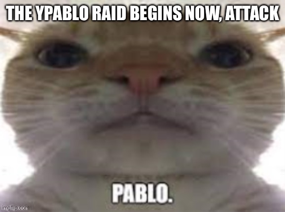 ATTACK | THE YPABLO RAID BEGINS NOW, ATTACK | image tagged in pablo | made w/ Imgflip meme maker