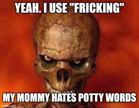 sketelon | YEAH. I USE "FRICKING" MY MOMMY HATES POTTY WORDS | image tagged in sketelon | made w/ Imgflip meme maker