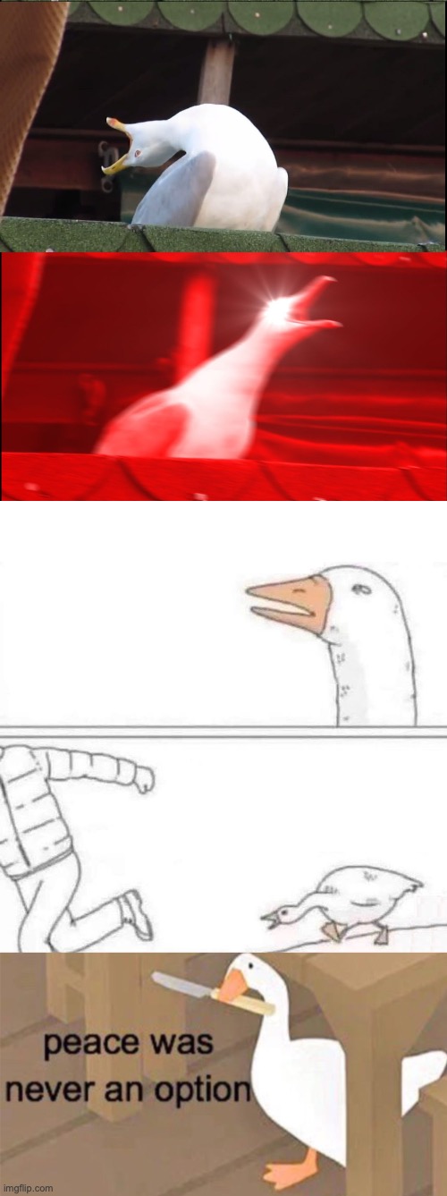 [insert clever tile her- SQUAWK] | image tagged in screaming goose,goose chase,untitled goose peace was never an option | made w/ Imgflip meme maker