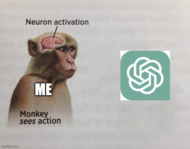 me irl | ME | image tagged in monkey | made w/ Imgflip meme maker