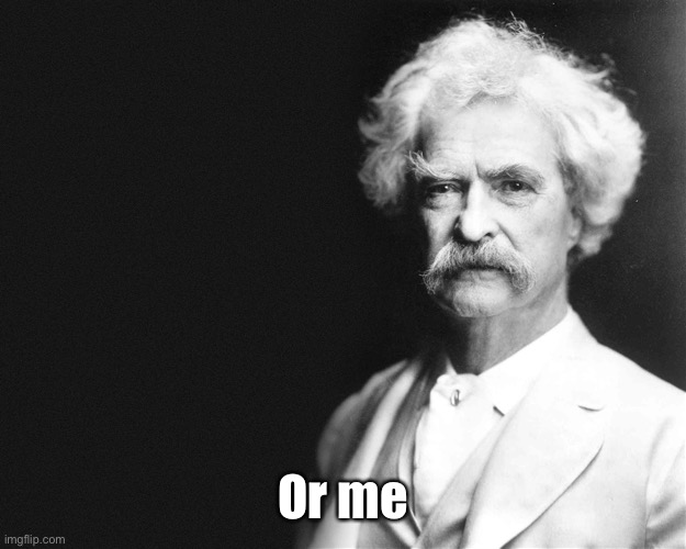 Mark Twain | Or me | image tagged in mark twain | made w/ Imgflip meme maker