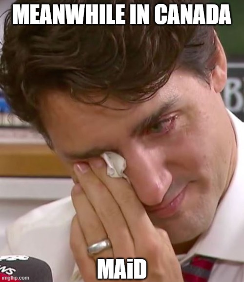 Justin Trudeau Crying | MEANWHILE IN CANADA MAiD | image tagged in justin trudeau crying | made w/ Imgflip meme maker