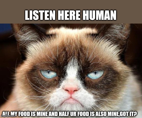 Grumpy Cat Not Amused | LISTEN HERE HUMAN; ALL MY FOOD IS MINE AND HALF UR FOOD IS ALSO MINE,GOT IT? | image tagged in memes,grumpy cat not amused,grumpy cat | made w/ Imgflip meme maker