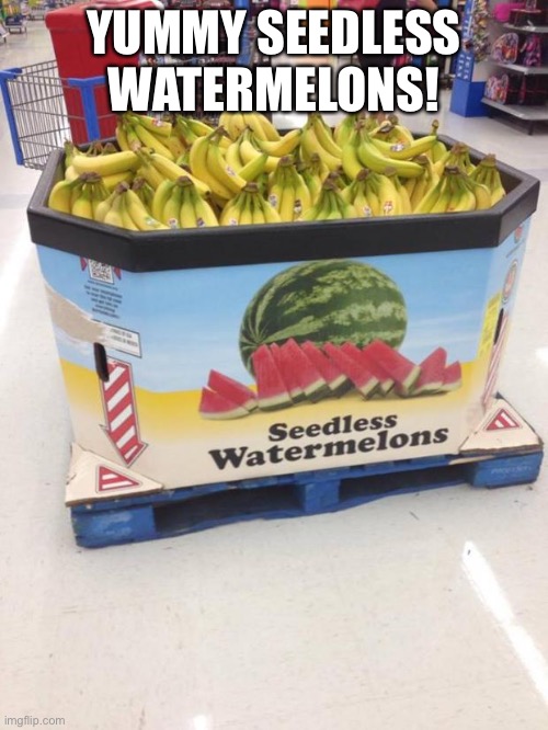 Seedless watermelons | YUMMY SEEDLESS WATERMELONS! | image tagged in you had one job | made w/ Imgflip meme maker