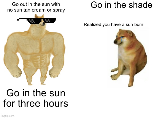 Buff Doge vs. Cheems Meme | Go in the shade; Go out in the sun with no sun tan cream or spray; Realized you have a sun burn; Go in the sun for three hours | image tagged in memes,buff doge vs cheems | made w/ Imgflip meme maker