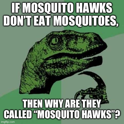 Philosoraptor | IF MOSQUITO HAWKS DON’T EAT MOSQUITOES, THEN WHY ARE THEY CALLED “MOSQUITO HAWKS”? | image tagged in memes,philosoraptor | made w/ Imgflip meme maker
