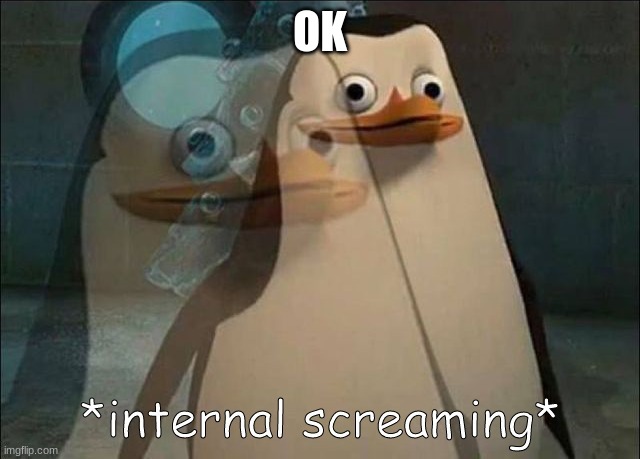 Private Internal Screaming | OK | image tagged in private internal screaming | made w/ Imgflip meme maker