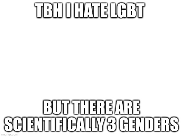 Fair? | TBH I HATE LGBT; BUT THERE ARE SCIENTIFICALLY 3 GENDERS | image tagged in noooooooooooooooooooooooo | made w/ Imgflip meme maker