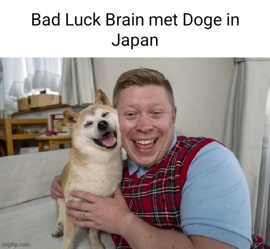 image tagged in bad luck brian,doge | made w/ Imgflip meme maker