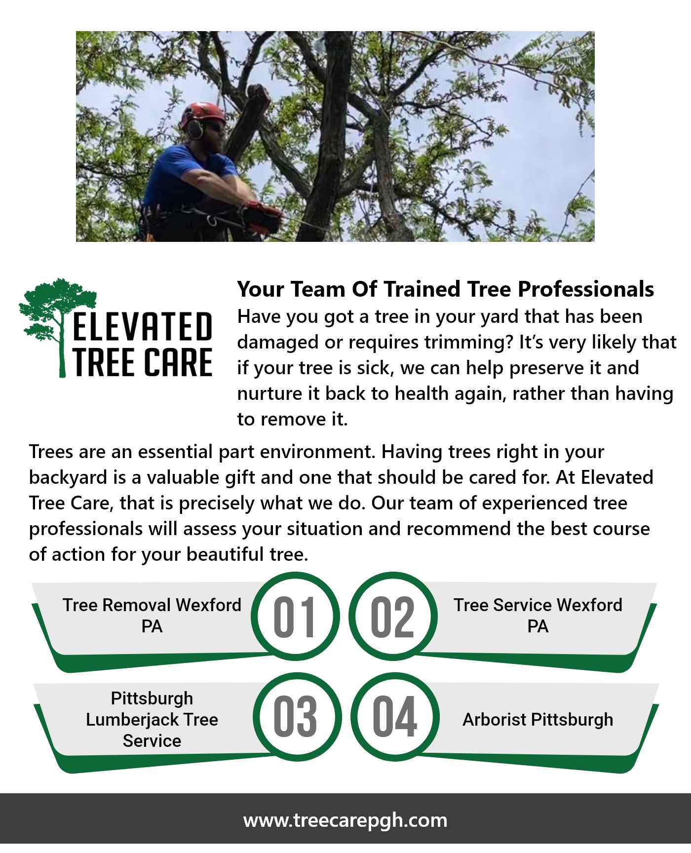 Pittsburgh Lumberjack Tree Service Blank Meme Template