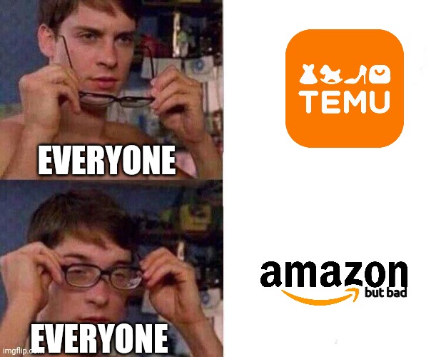 earth would've been better without temu | EVERYONE; but bad; EVERYONE | image tagged in spiderman glasses | made w/ Imgflip meme maker