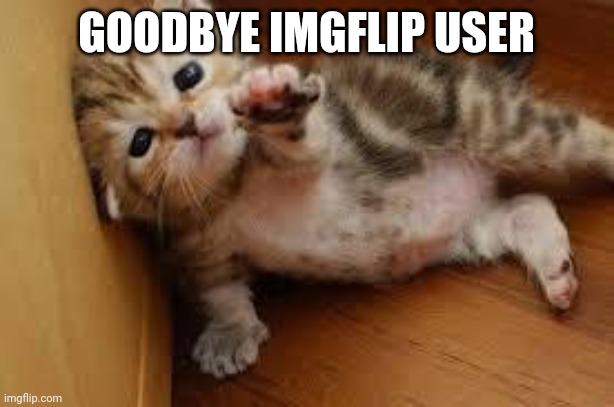 Goodbye | GOODBYE IMGFLIP USER | image tagged in sad kitten goodbye,goodbye,alphabet lore,cookie run,cookie run kingdom | made w/ Imgflip meme maker